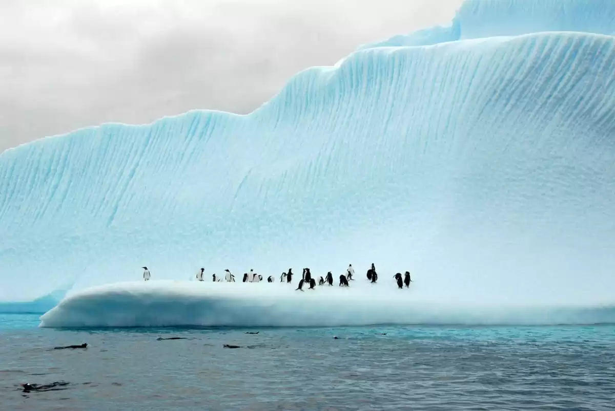 le MS Roald Amundsen :  cabine 0
