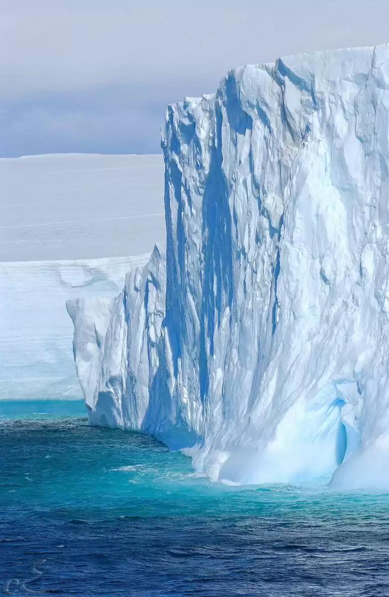 le MS Roald Amundsen :  cabine 1