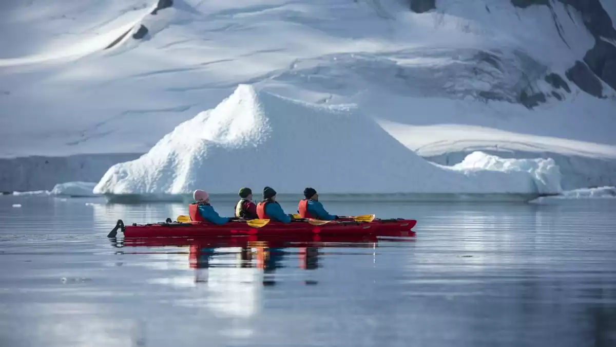 le MS Roald Amundsen :  cabine 8
