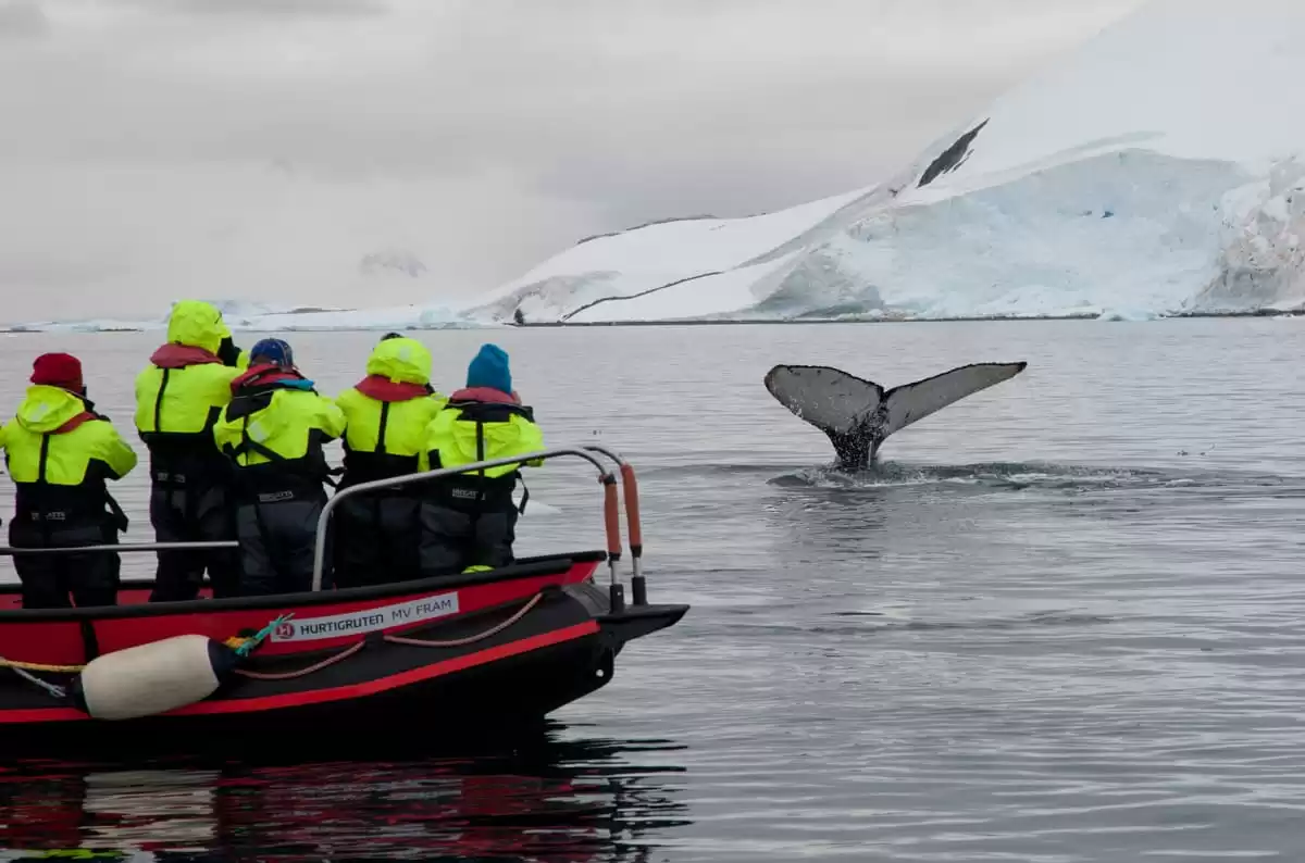 le MS Roald Amundsen :  cabine 16