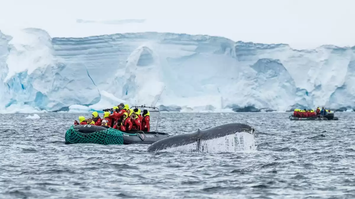 le MS Roald Amundsen :  cabine 46