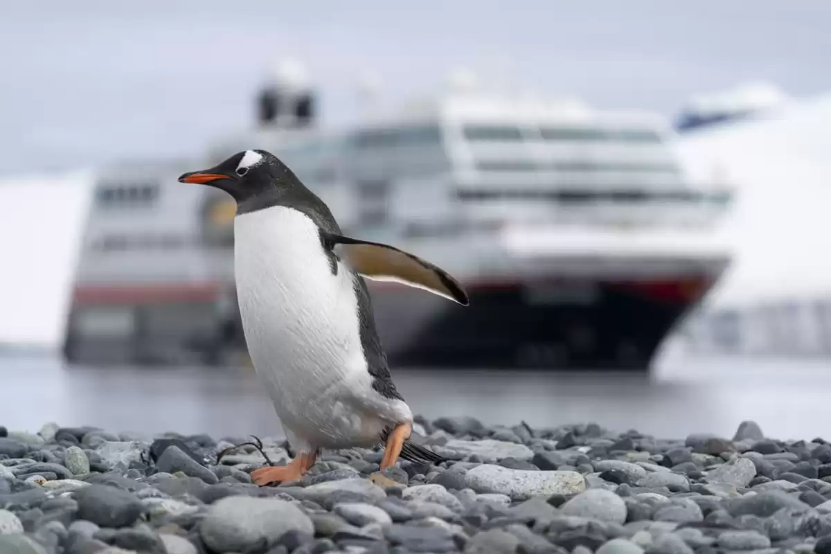 le MS Spitsbergen :  cabine 25