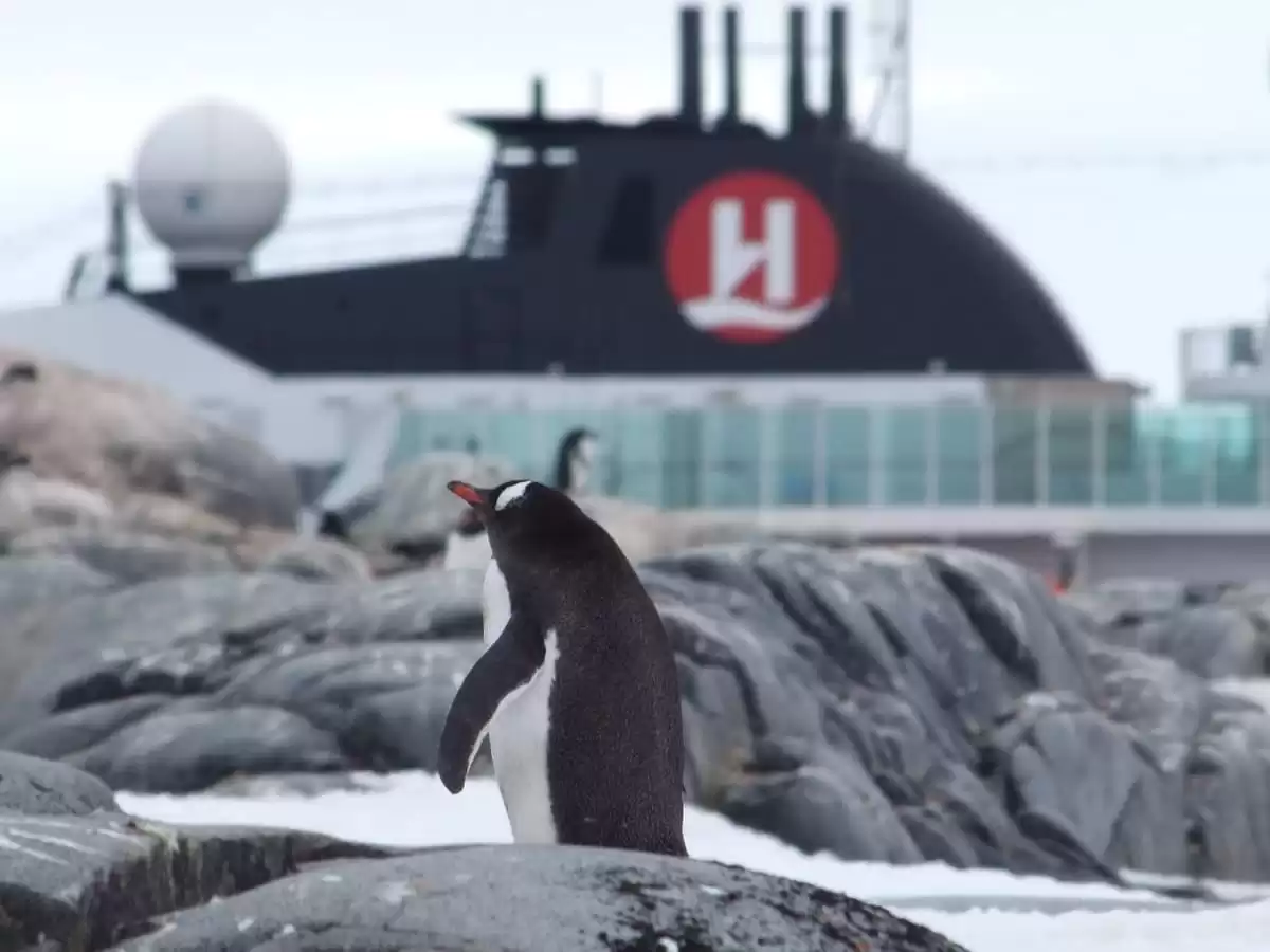 le MS Spitsbergen :  cabine 26