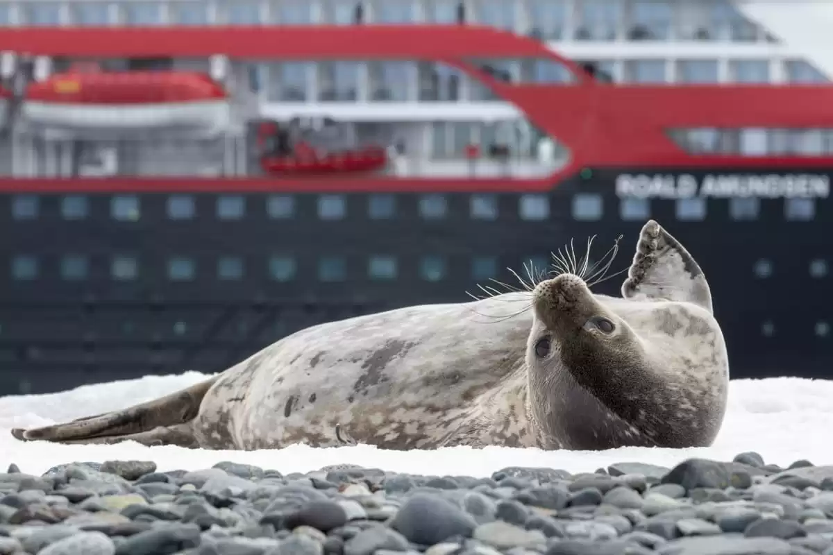 le MS Spitsbergen :  cabine 31