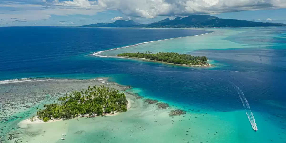 le Le Bougainville :  cabine 28