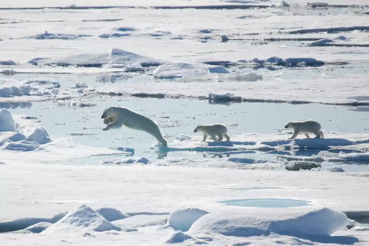 le Silver cloud Expedition :  cabine 15