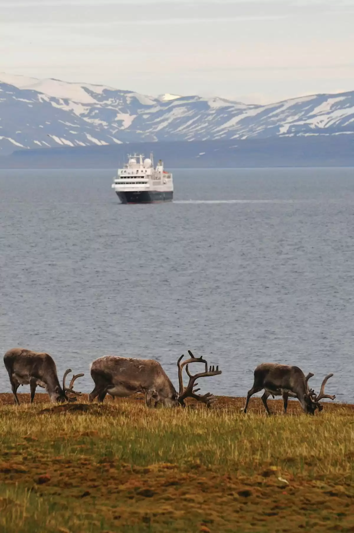 le Silver cloud Expedition :  cabine 22