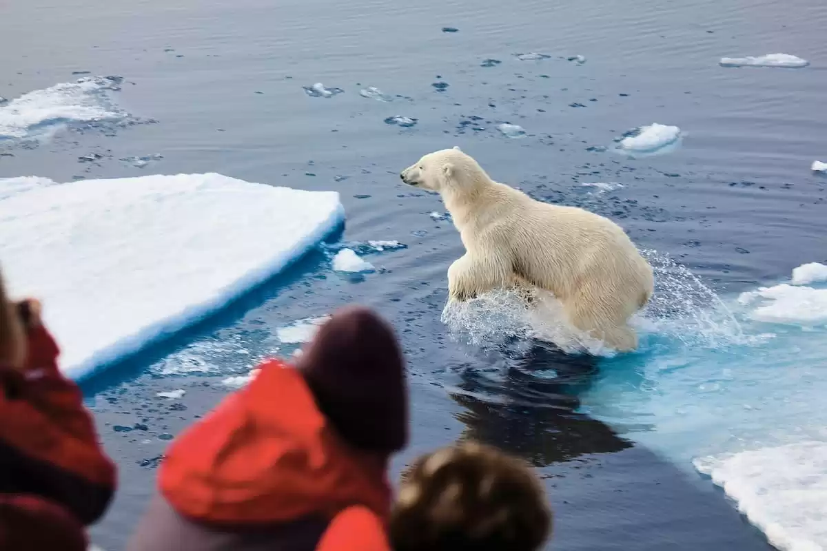 le Silver cloud Expedition :  cabine 28