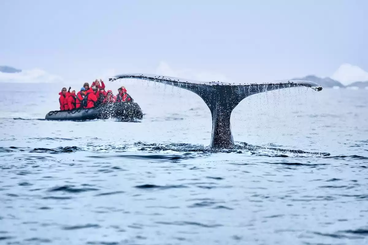le Silver cloud Expedition :  cabine 30