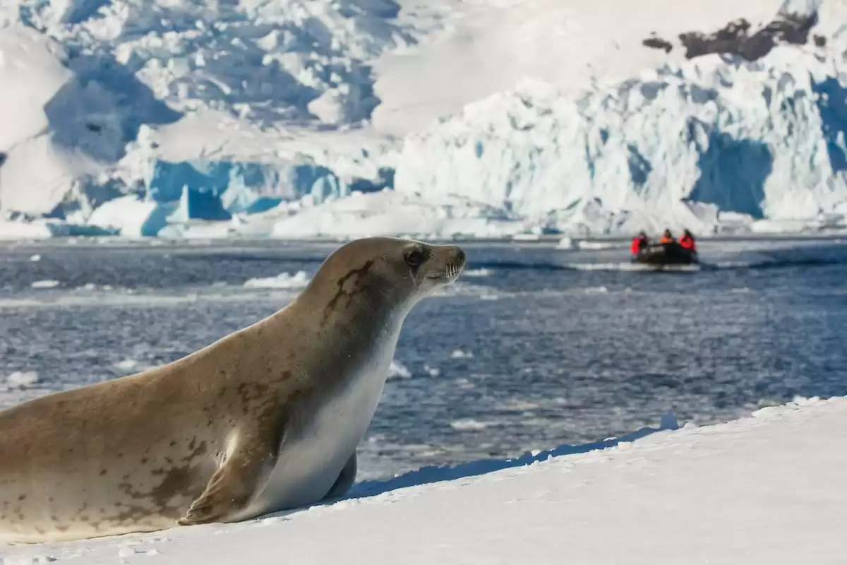 le Silver cloud Expedition :  cabine 35