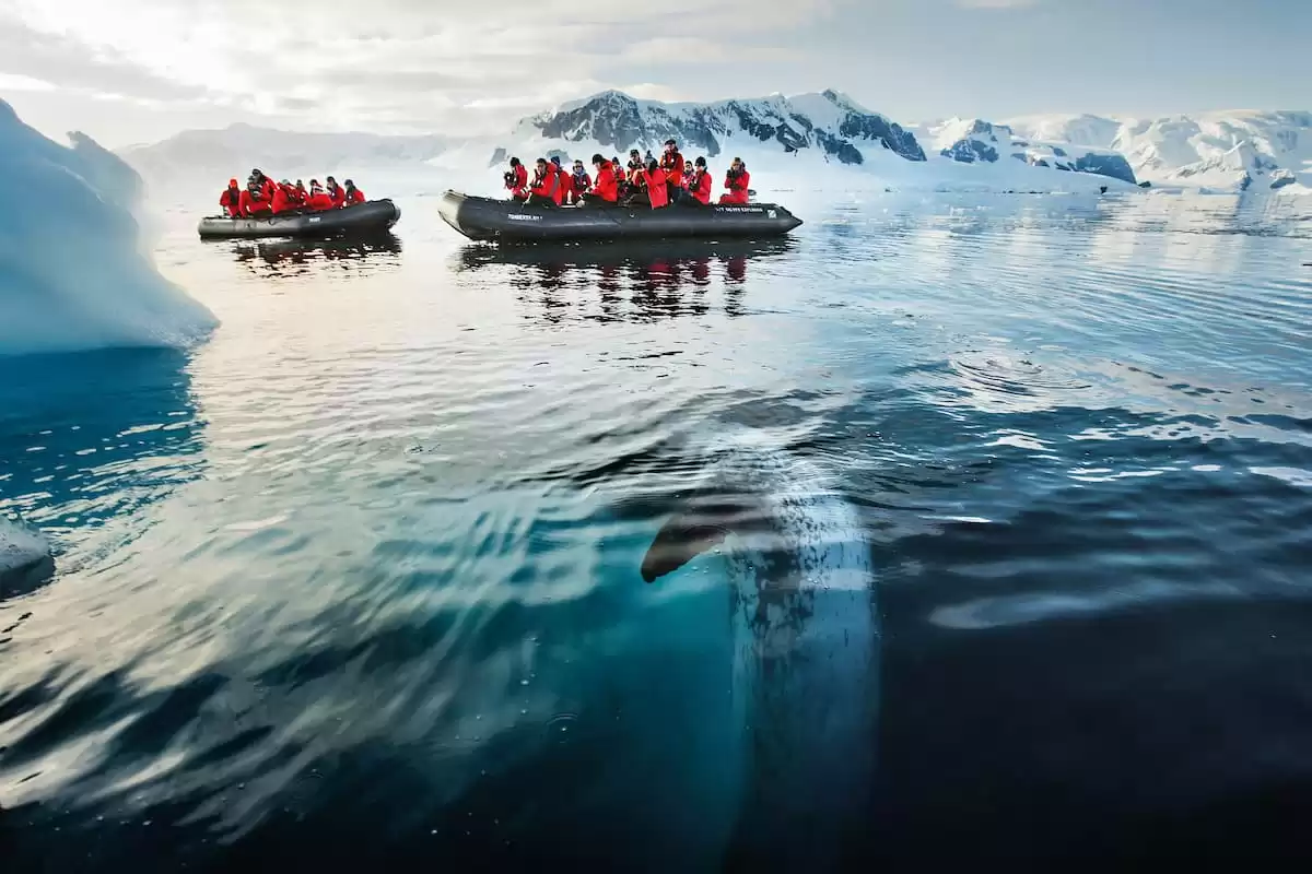 le Silver cloud Expedition :  cabine 36