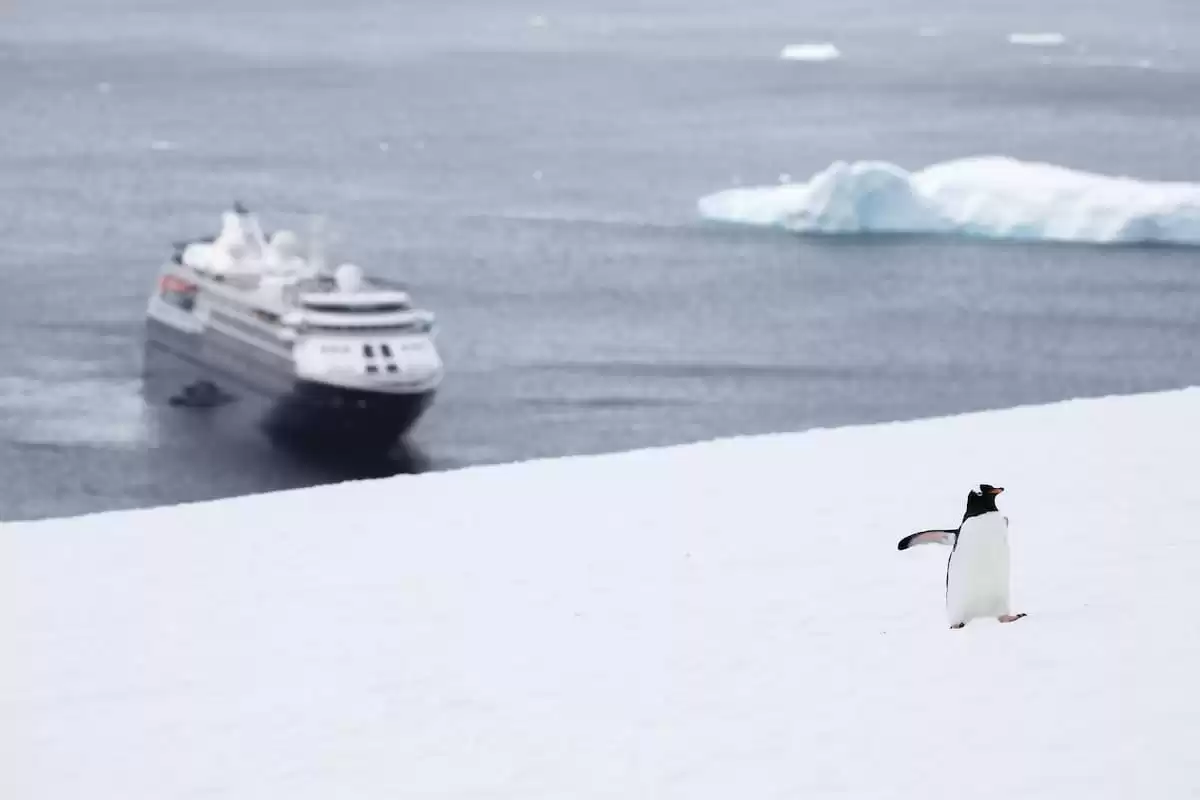 le Silver cloud Expedition :  cabine 5