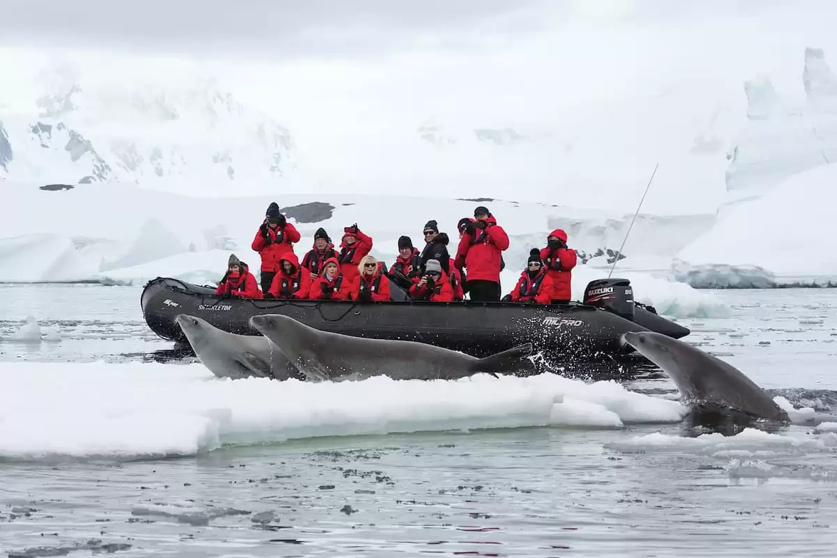le Silver Wind :  cabine 50