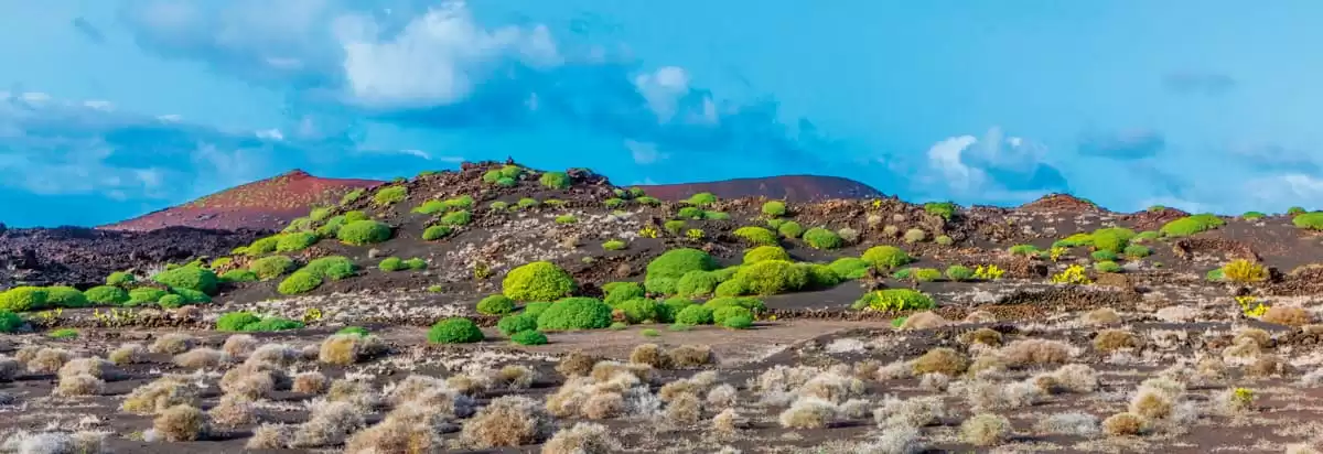 le La Belle des Océans :  cabine 39
