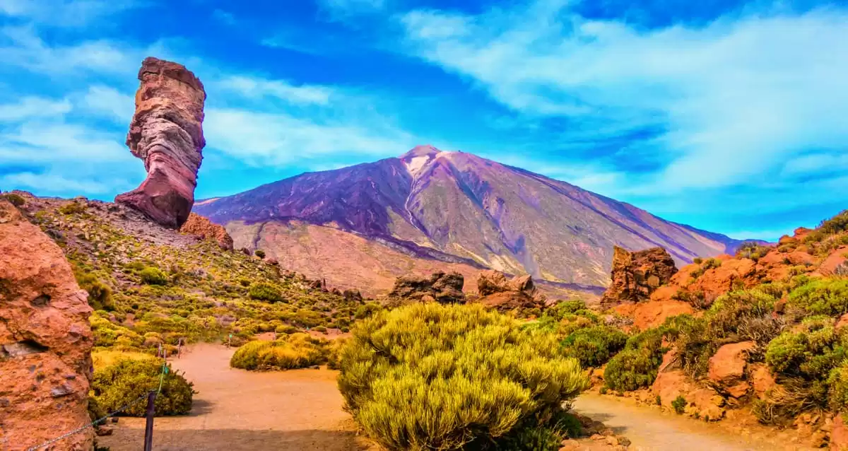 le La Belle des Océans :  cabine 47