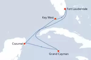 Celebrity Reflection