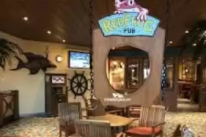 RefdFrog Pub