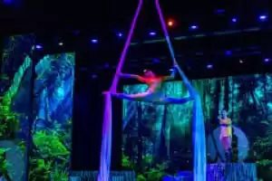 Spectacles au Mainstage