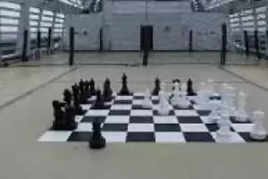 Shuffleboard & échecs