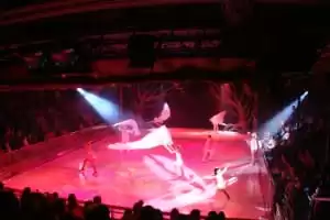 Spectacles au Studio B