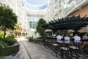 Trellis bar