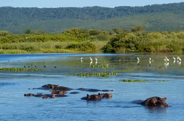 À iSimangaliso Wetland Park