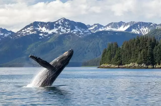 À Juneau