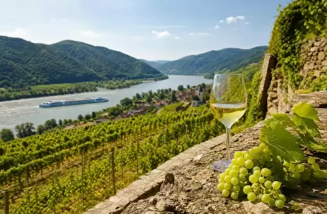 Vins de la Wachau