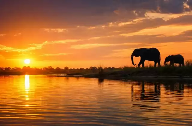 Coucher de soleil sur le Chobe