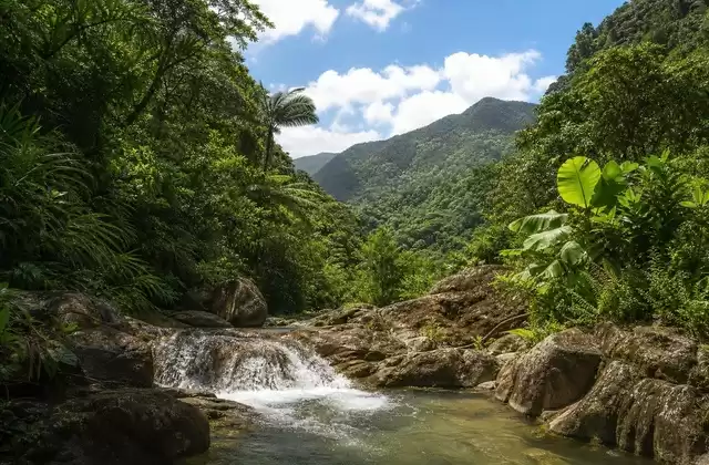 À Porto Rico