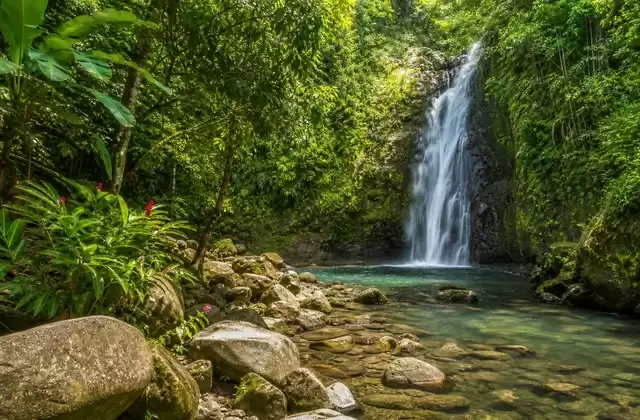 En Guadeloupe