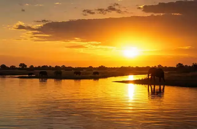 Coucher de soleil sur le Chobé