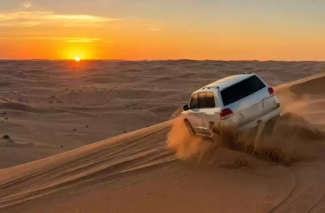 Dans le Désert (Dubaï/Abu Dhabi)