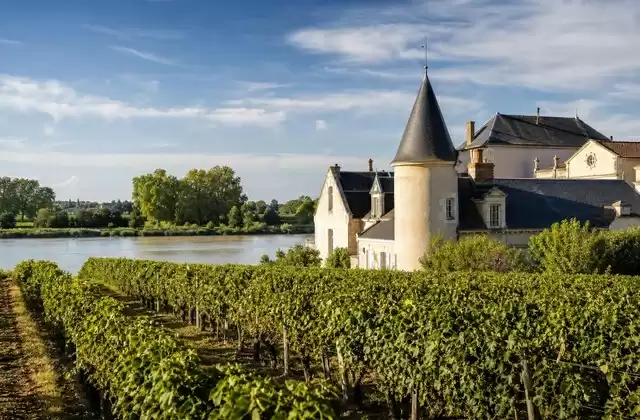 Pauillac