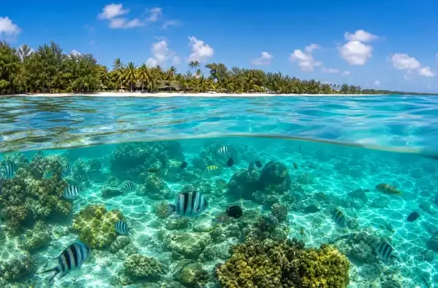 À l'Île Maurice