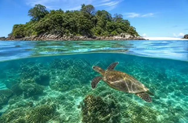 À Madagascar (Nosy Be)
