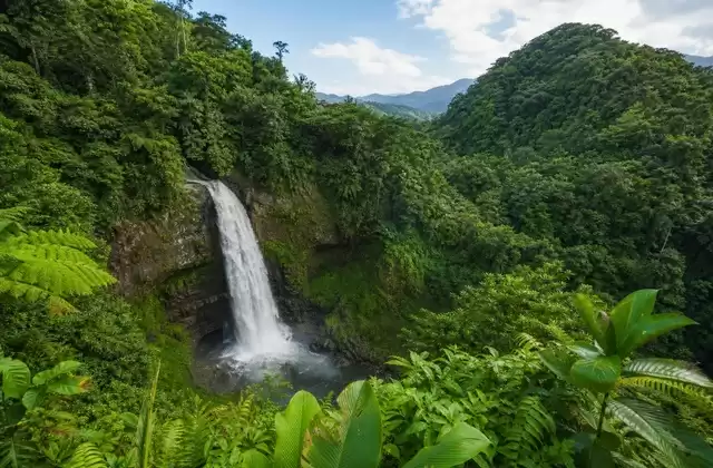 À El Yunque
