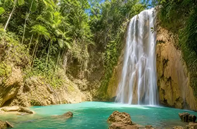 À El Limón