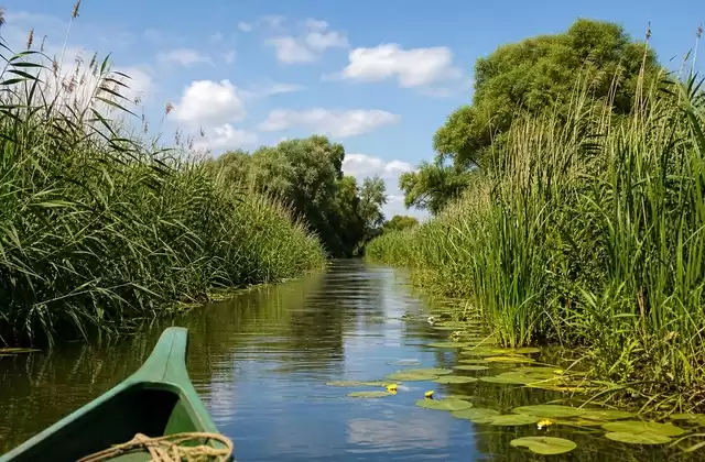 Dans le delta du Danube