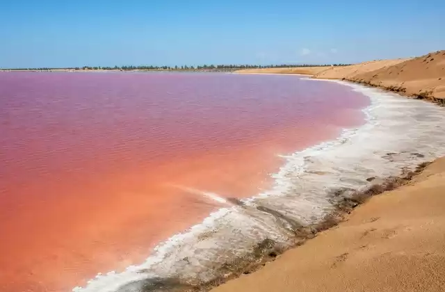 Au lac Rose