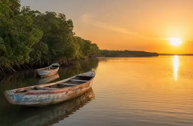 Dans les bolongs du Sine-Saloum