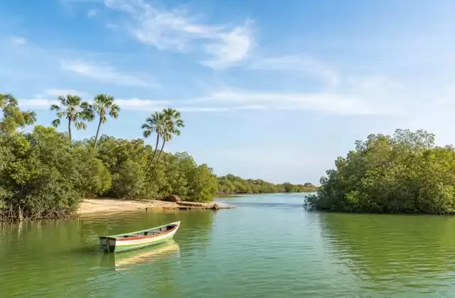 Dans le Sine-Saloum