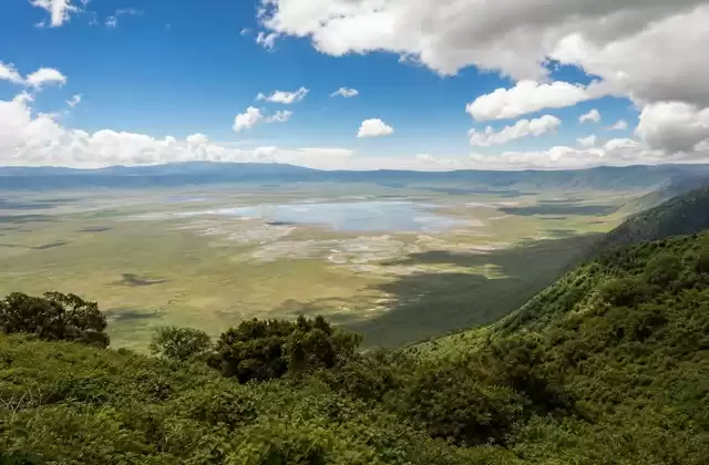 Dans le Ngorongoro