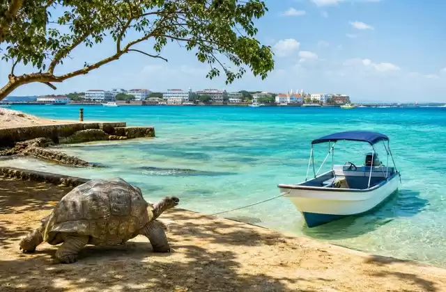 À Prison Island