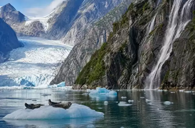 Endicott Arm & Dawes Glacier