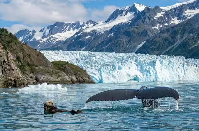 Seward