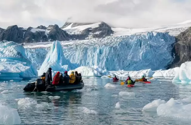 Les sorties en Zodiac ou en kayak au ras des glaces