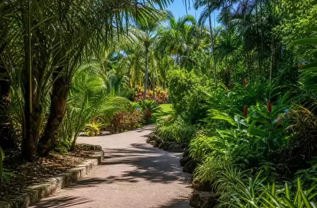 Bermuda Botanical Gardens