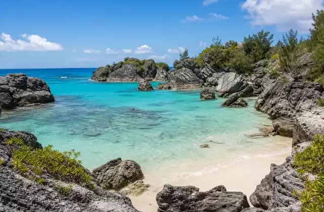 Jobson’s Cove