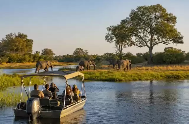 Delta de l’Okavango